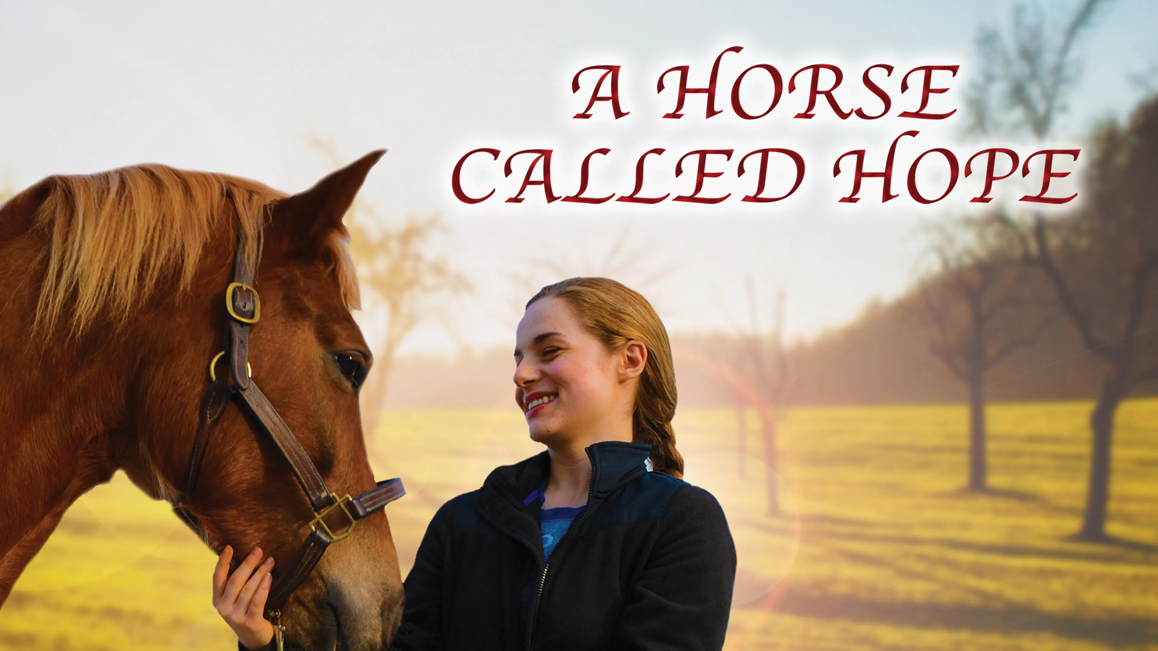 A Horse Called Hope poster